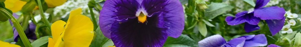 Bootstrap, an engineering exercise (part 3) image